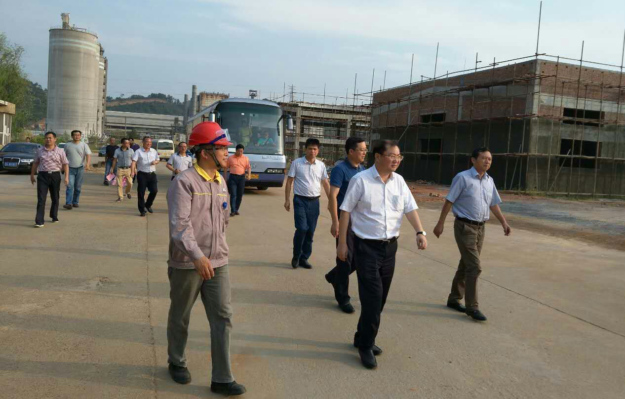 雙看雙促調研活動